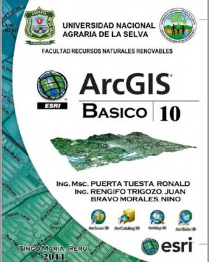Manual ArcGis BÁSICO - GRATIS
